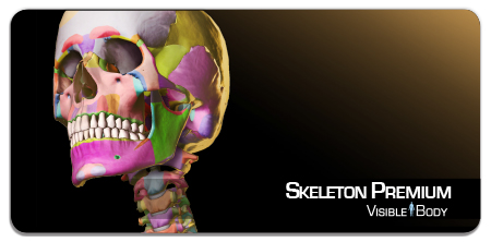 skeleton_badge