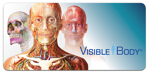 family share visible body app
