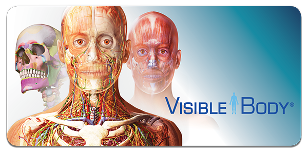 Visible Body | Access your institution's Visible Body Site License on your  mobile device