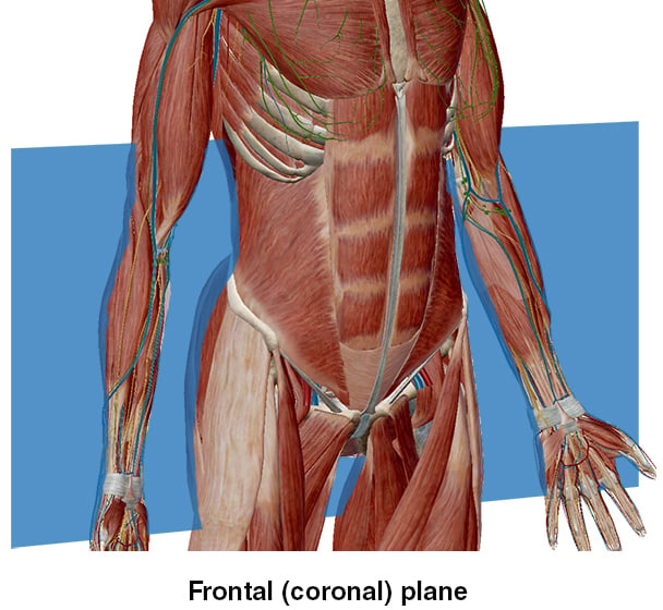 Frontal Plane Coronal Sagittal midline