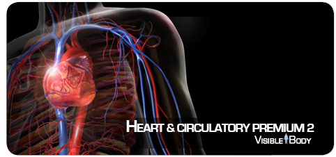 banner_product_Circ_Premium_2_en_sd