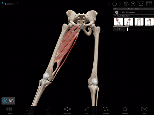 2020-mk-hip-adduction