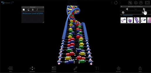 DNA-3D-Tour-600px