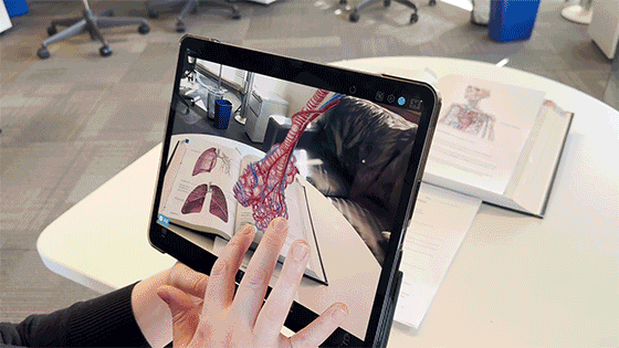 Alveoli-lab-ar