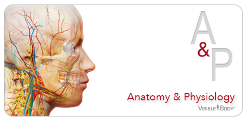 AP-Product-Page-Banner.png