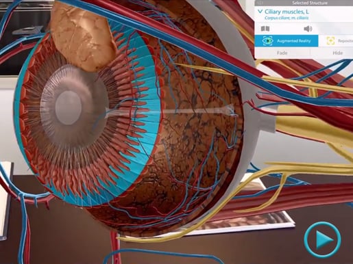 Microanatomy in Augmented Reality
