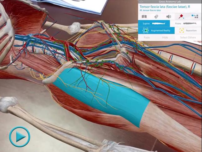 Augmented Reality in Human Anatomy Atlas for iOS 11
