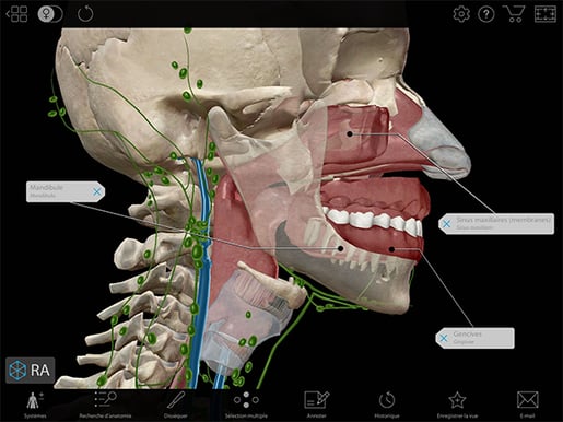 Atlas2019.2-French