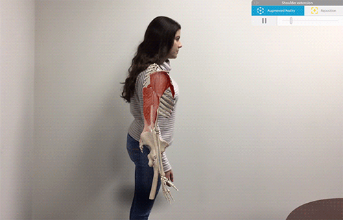 Arm-Movement-Gif