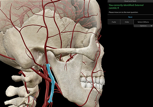 Visible Body apps allow students to work through 3D dissection quizzes