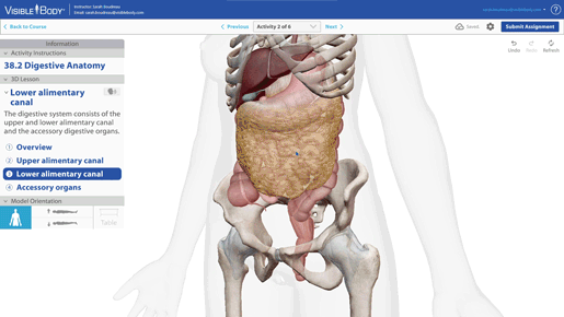 digestion-IA