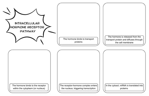 endocrine comic panels