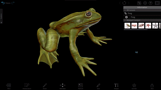 frog-and-pig-textures