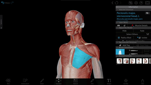 gross-anatomy-lab-button