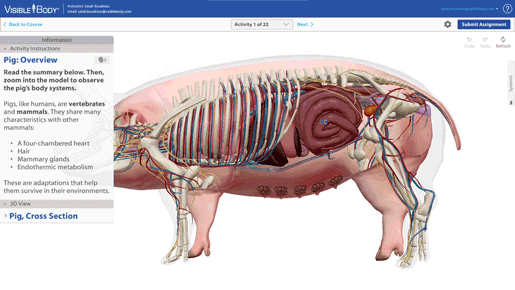 pig-dissection-lab-IA