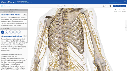 skeletal-anatomy
