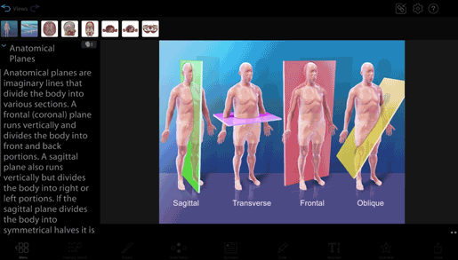 terminology-illustrations