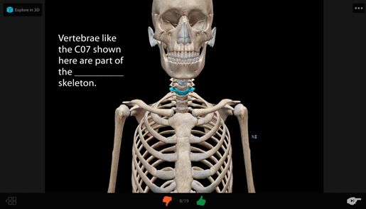 flashcard-deck-bones