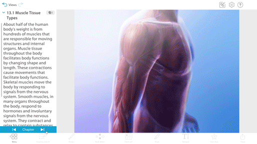 muscle-a-and-p-in-vb-suite