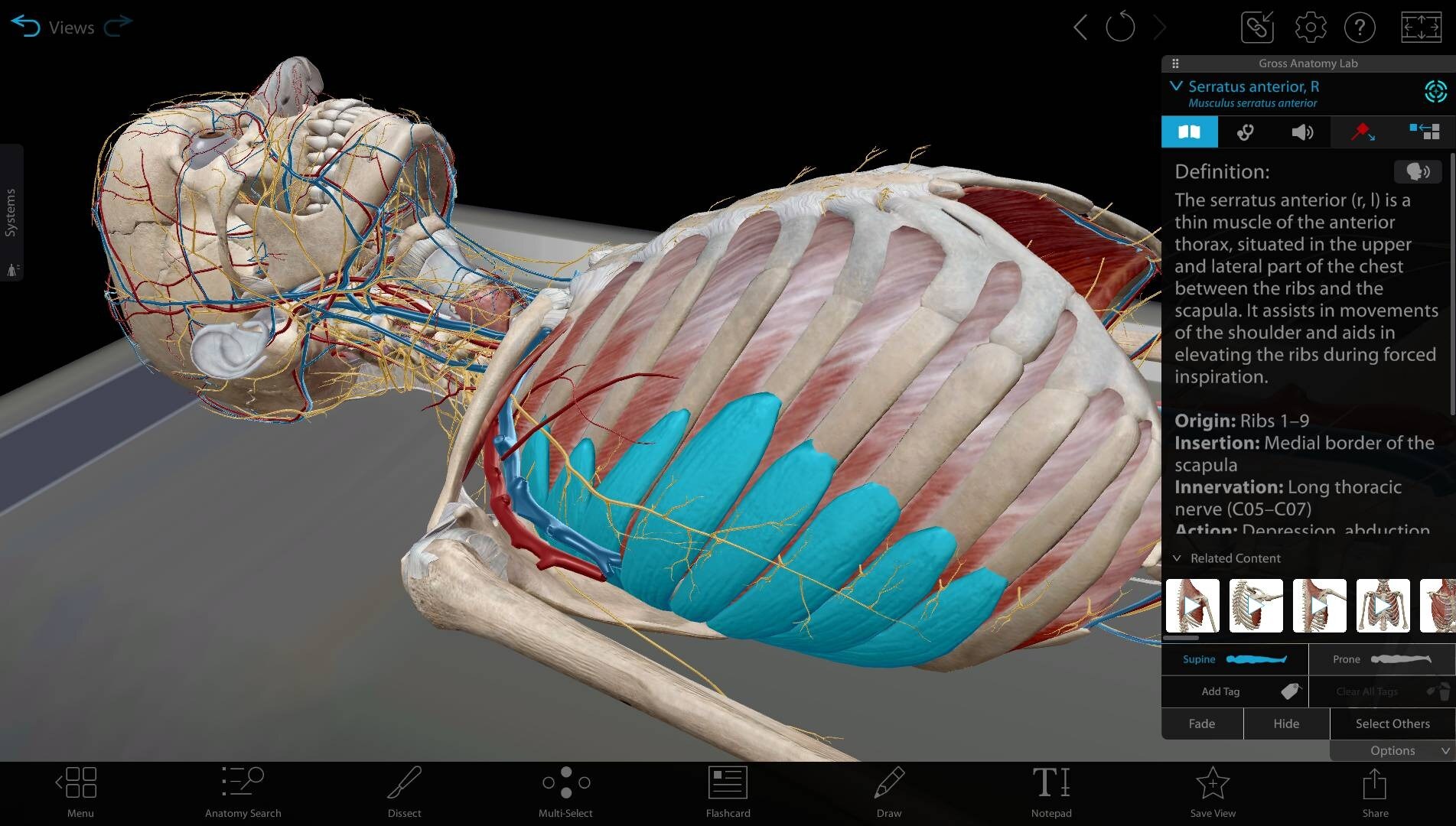 5 Ways to Teach Trauma Assessment with Visible Body