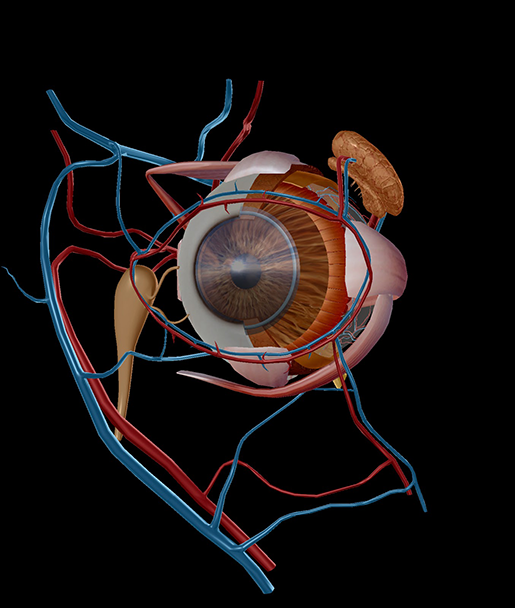 ai-in-medicine-eye