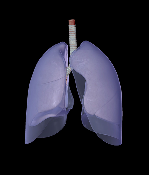 ai-in-medicine-lungs