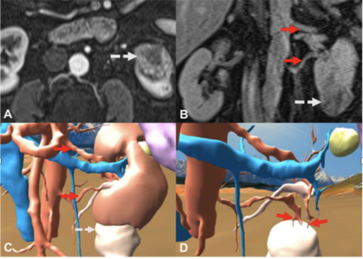 urology-vr