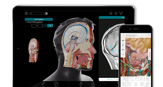 Human Anatomy Atlas is available on multiple platforms and devices.