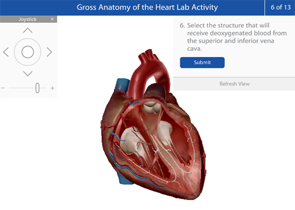 heart-gross-anatomy-lab-activity-1