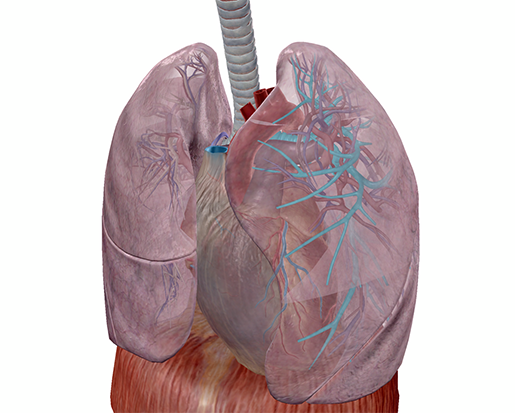 cf-blog-lower-respiratory