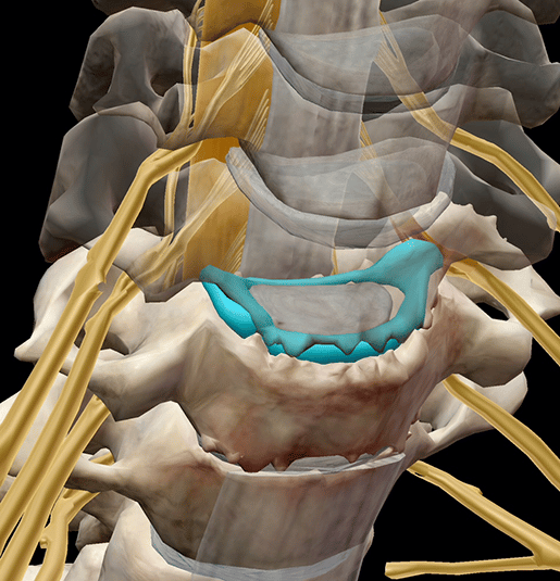 When Your Spine Feels Less Than Fine: Common Spinal Pathologies