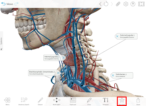 save-view-custom-content