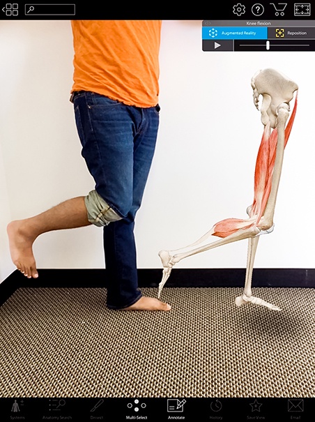 Visible Body Knee Flexion AR