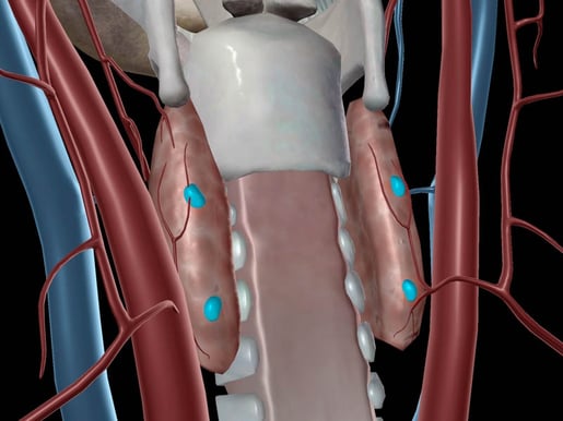 Feeling Hormonal: A Look at the Endocrine System