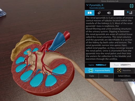 Virtual Reality Tools Applied to the Male Urinary System