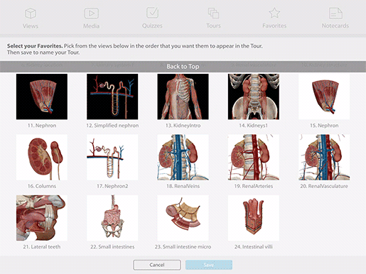 atlas-select-views-for-tour-gif