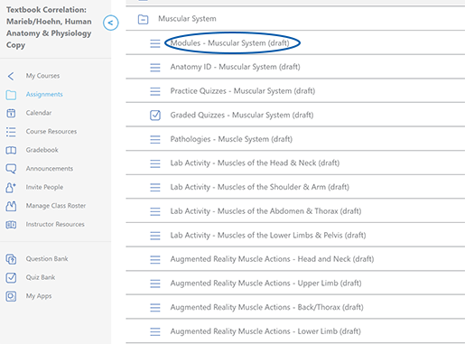 courseware-marieb-hoehn-assignments-1