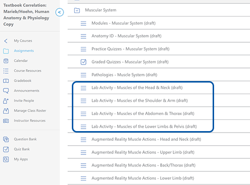 courseware-marieb-hoehn-assignments-6