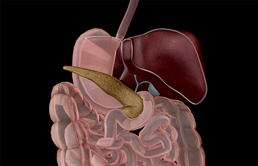 pancreas_glp1