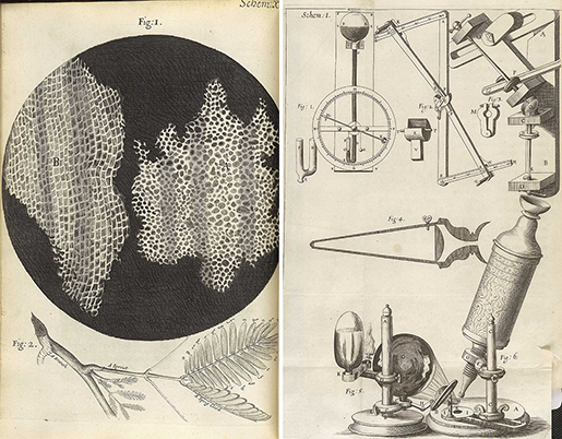 histology-hooke-micrographia-pages