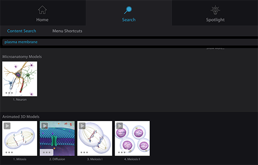 Finding the plasma membrane with Content Search in Visible Body Suite
