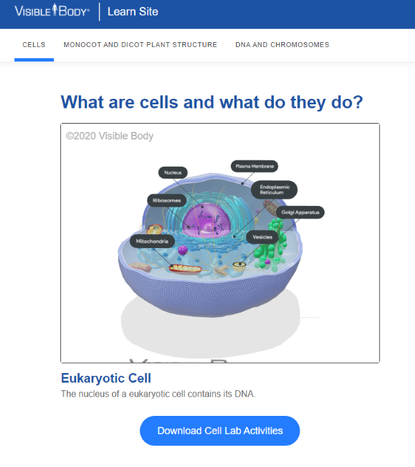 learn-bio-sample-learnsite-lab-download-example