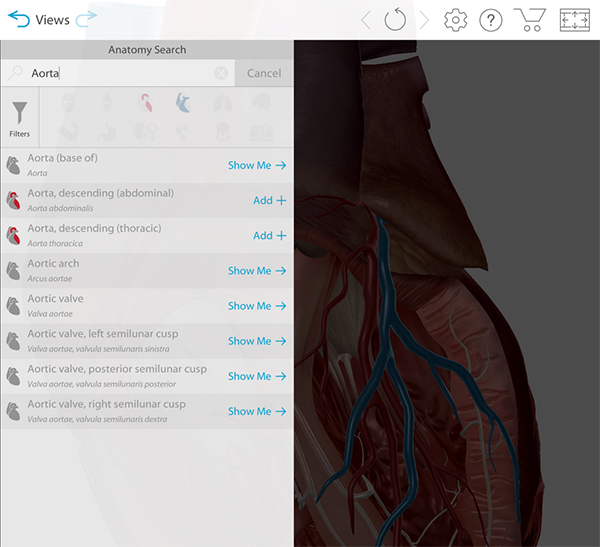 anatomy-search-show-add