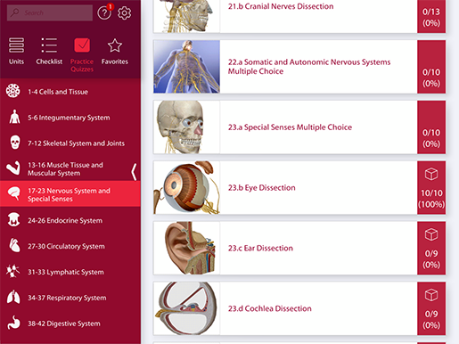 eye-lab-practice-quiz-ap