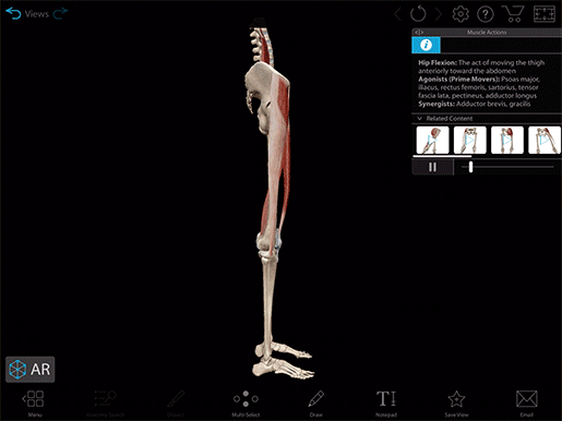 new-muscle-action-fading-mandk