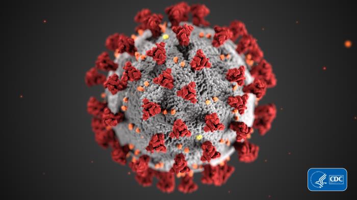 cdc-coronavirus-image