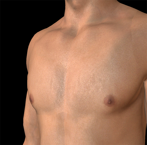 Male nipples female
