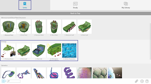 Teaching Photosynthesis With Visible Biology A Free Lesson Plan