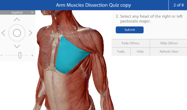 pectoralis-major-heads-resized