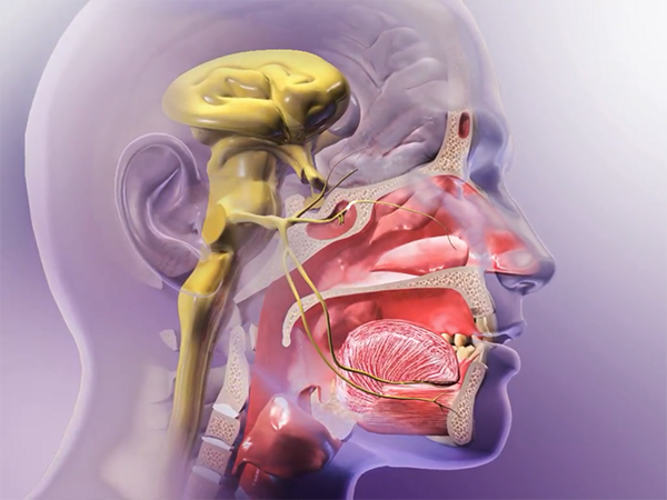 trigeminal-nerve-sneeze